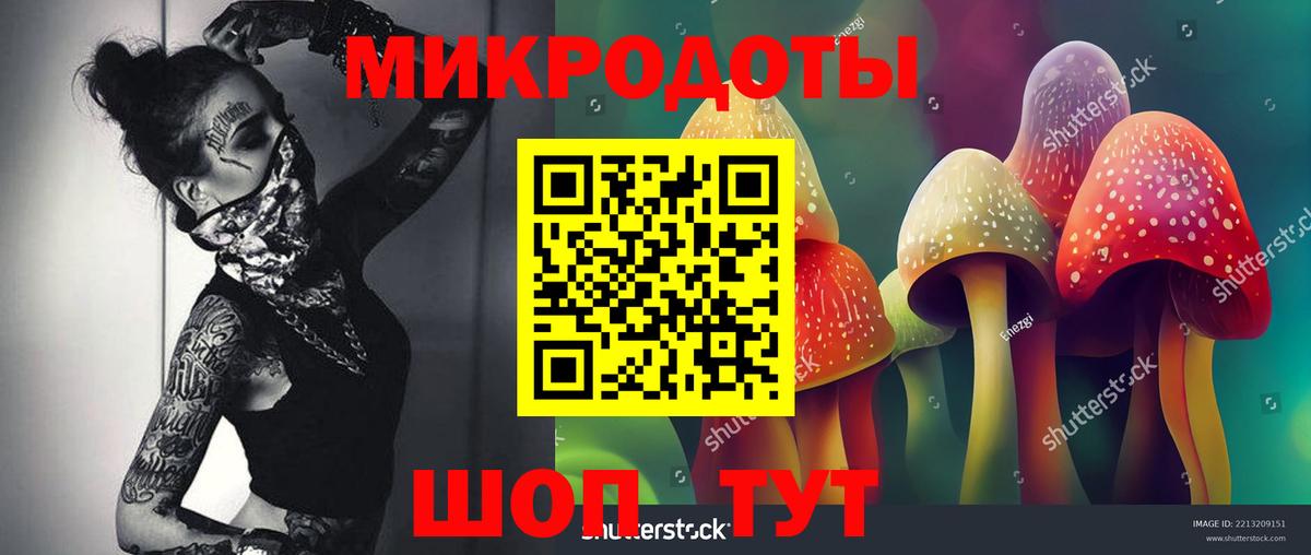 Новоалександровск  Галлюциногенные грибы Cubensis  Галлюциногенные грибы ЛСД  как найти закладки  Вход с VPN 